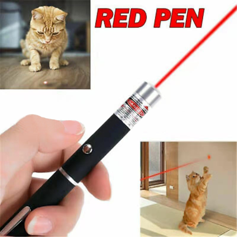 ペットや猫用の2 in 1ミニレーザーポインター、ポータブル - Industrial Laser Pointer のレビューと価格