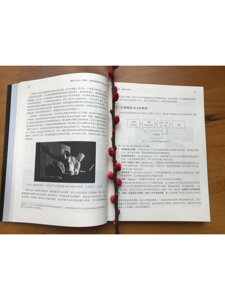 Book-Winshare 理論から実践までビジュアルスラム - Industrial Visual のレビューと価格